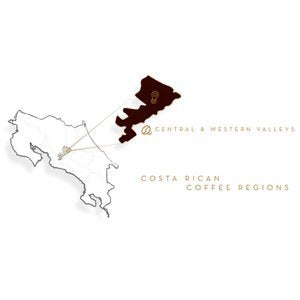 Café Britt® - Costa Rican Tres Rios Valdivia Coffee (12 oz.) (3-Pack) - Whole Bean, Arabica Coffee, Kosher, Gluten Free, 100% Gourmet & Medium Light Roast