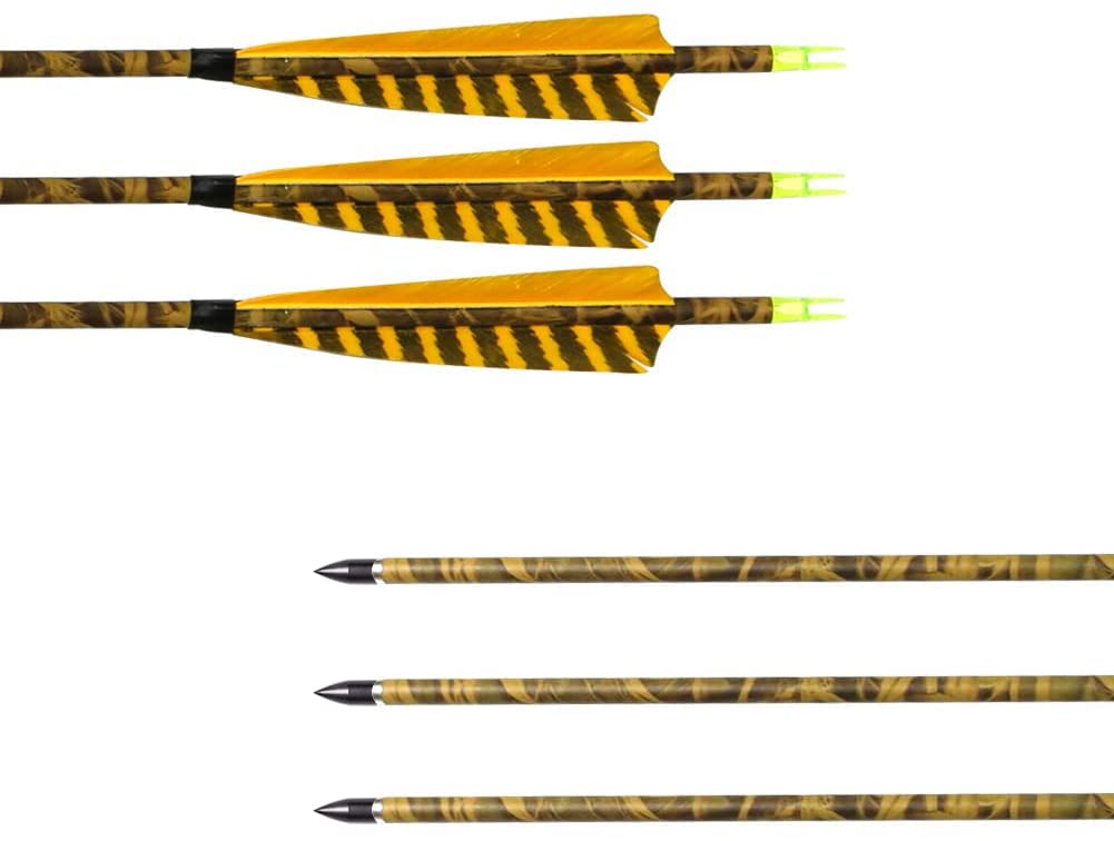 31Inch Carbon Arrow, Practice Hunting Arrows, Camo Turkey Feather Fletching, Arrows for Compound & Recurve Bow with Removable Tips Adjustable Nocks