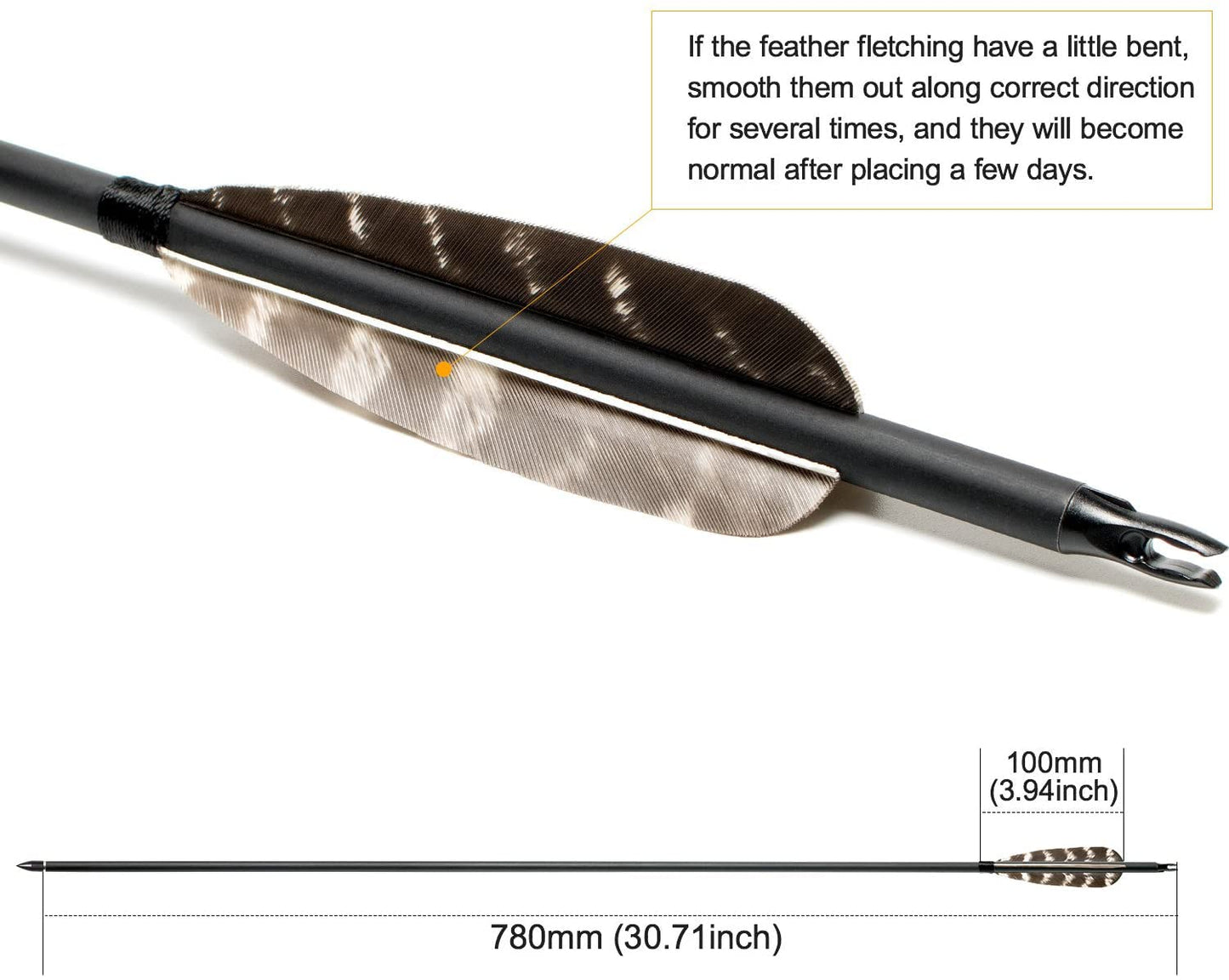 31Inch Carbon Arrow, Practice Hunting Arrows, Camo Turkey Feather Fletching, Arrows for Compound & Recurve Bow with Removable Tips Adjustable Nocks