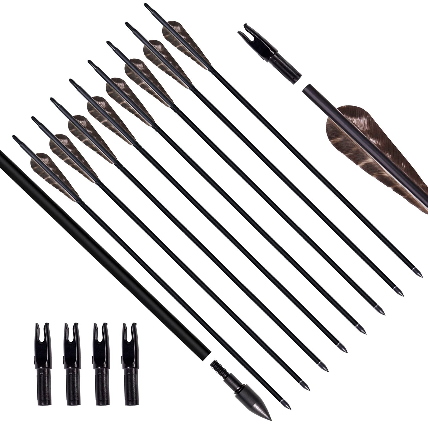 31Inch Carbon Arrow, Practice Hunting Arrows, Camo Turkey Feather Fletching, Arrows for Compound & Recurve Bow with Removable Tips Adjustable Nocks