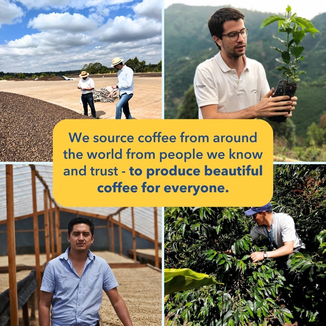 PARTNERS COFFEE ROASTERS - Whole Bean Coffee (Flatiron - Espresso, Medium-Dark Roast) 12oz - Classic Blend, Tastes Like Home - Dark Chocolate, Praline, Dates - Coffee Beans - Roasted in New York City