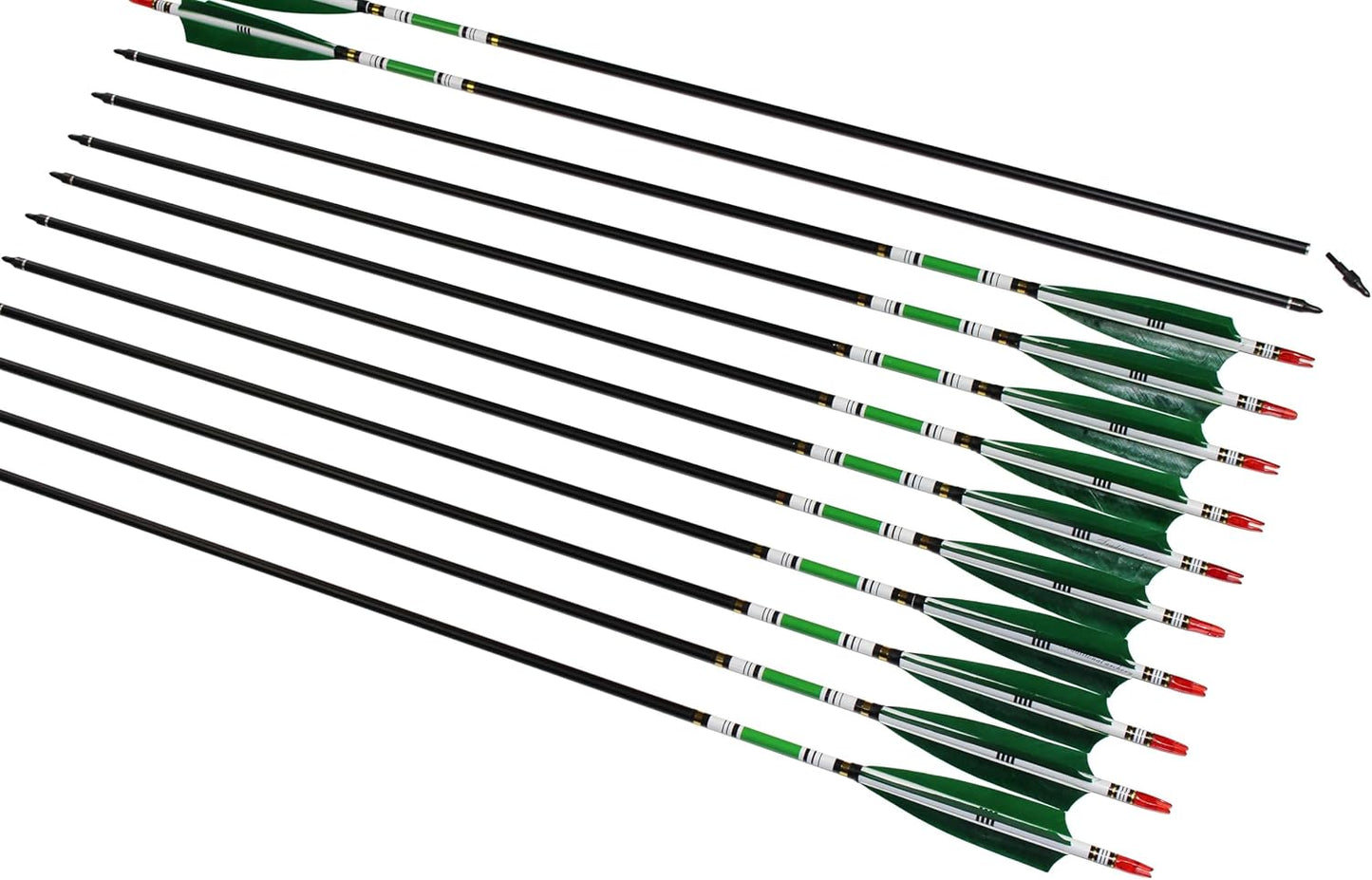 TTFLY FLETCHING 31 inch Carbon Arrows Green Turkey Feather Targeting Arrows Archery with Screw-in Field Tips Hunting&Practice(12 Pack)