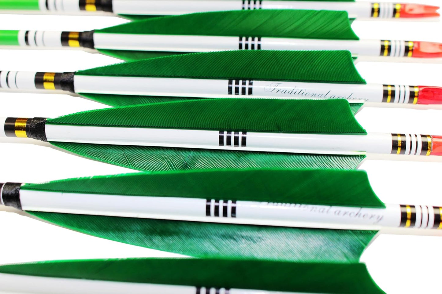 TTFLY FLETCHING 31 inch Carbon Arrows Green Turkey Feather Targeting Arrows Archery with Screw-in Field Tips Hunting&Practice(12 Pack)