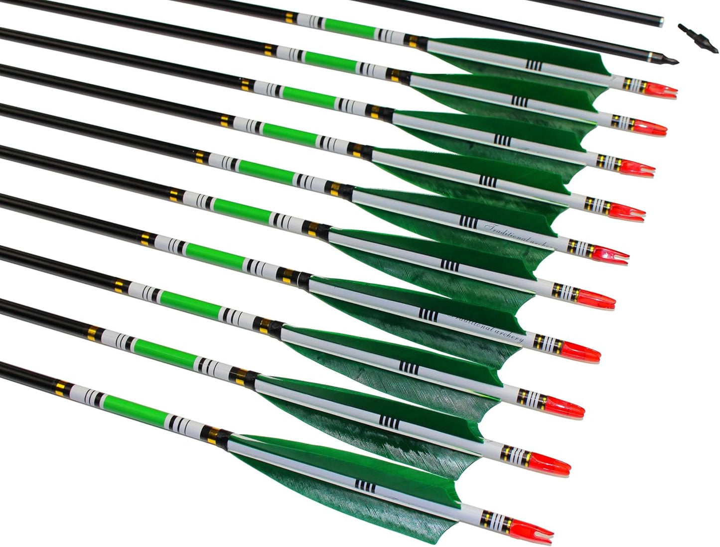 TTFLY FLETCHING 31 inch Carbon Arrows Green Turkey Feather Targeting Arrows Archery with Screw-in Field Tips Hunting&Practice(12 Pack)