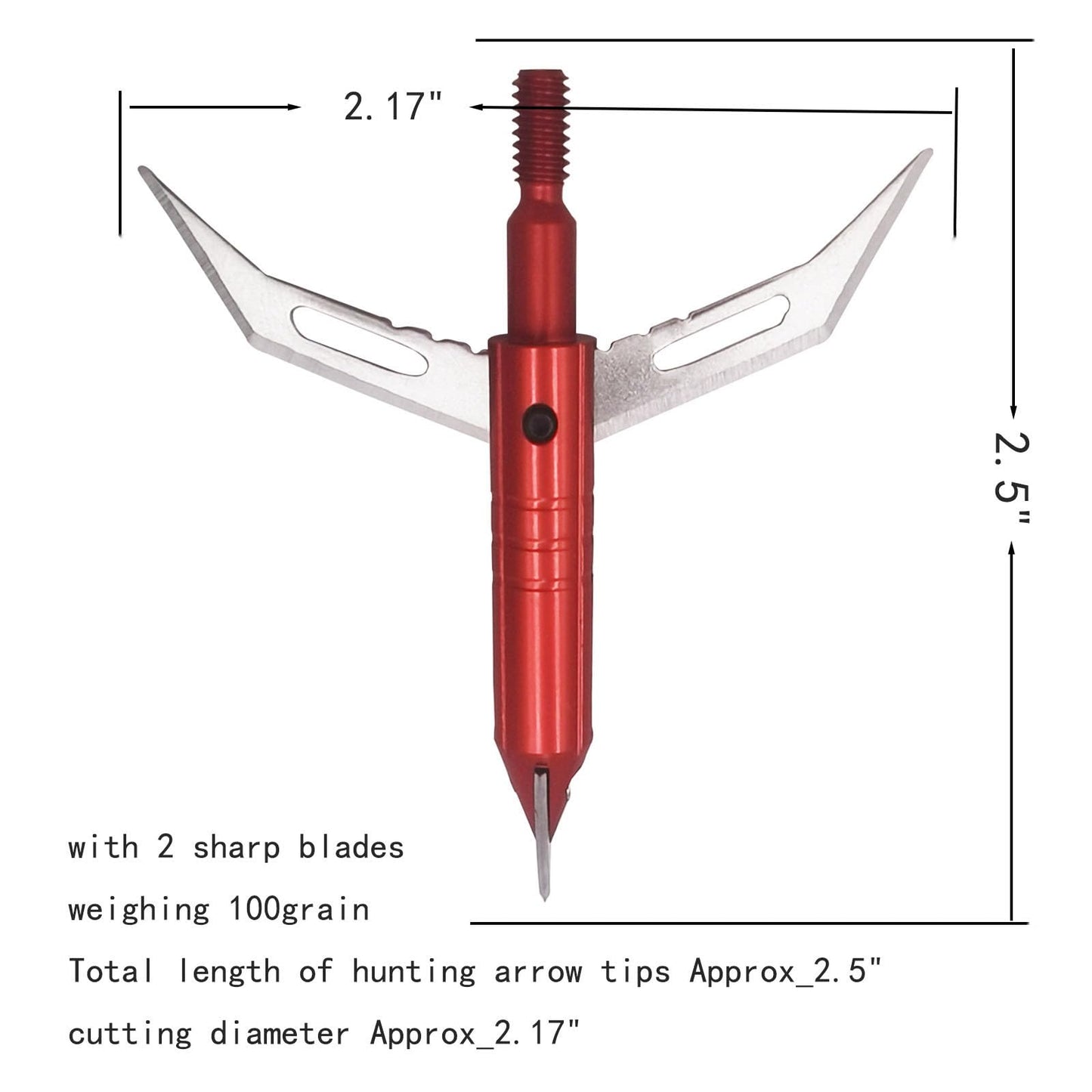 Stainless Steel Hunting Archery Broadheads Blades Grain Screw-in Arrow Heads Tips Compatible with Traditional Bows Archery Broad Crossbow Recurve6