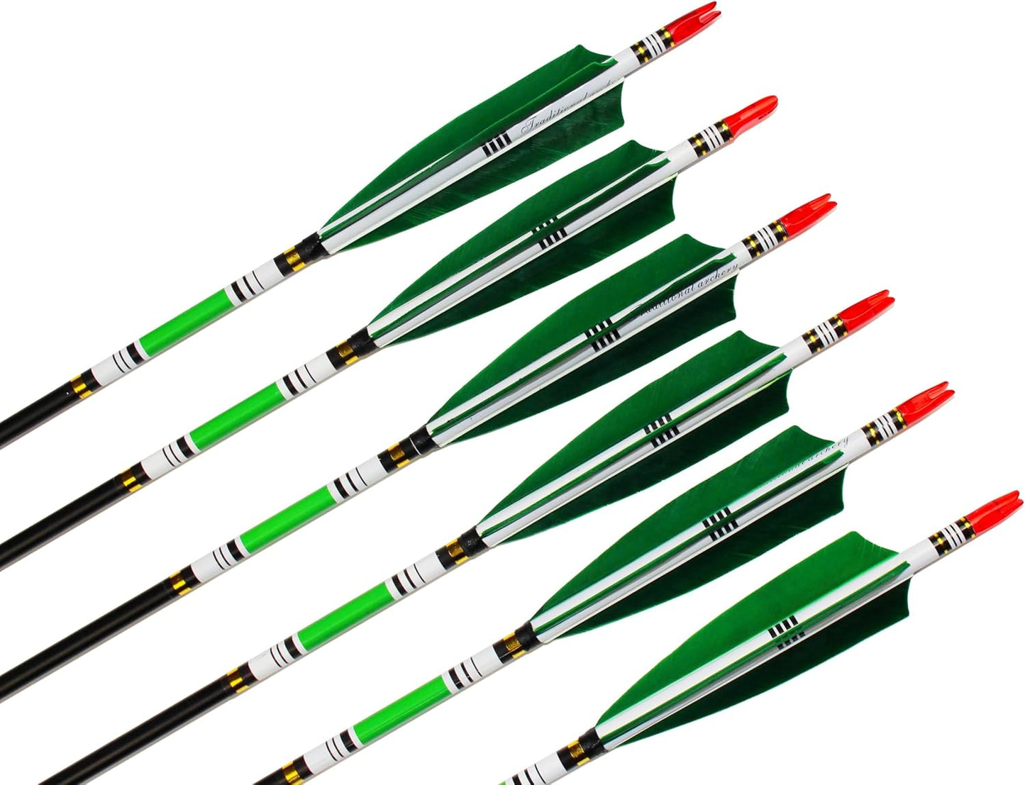 TTFLY FLETCHING 31 inch Carbon Arrows Green Turkey Feather Targeting Arrows Archery with Screw-in Field Tips Hunting&Practice(12 Pack)