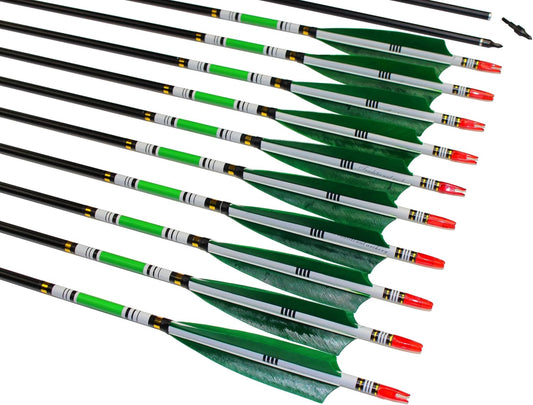 TTFLY FLETCHING 31 inch Carbon Arrows Green Turkey Feather Targeting Arrows Archery with Screw-in Field Tips Hunting&Practice(12 Pack)