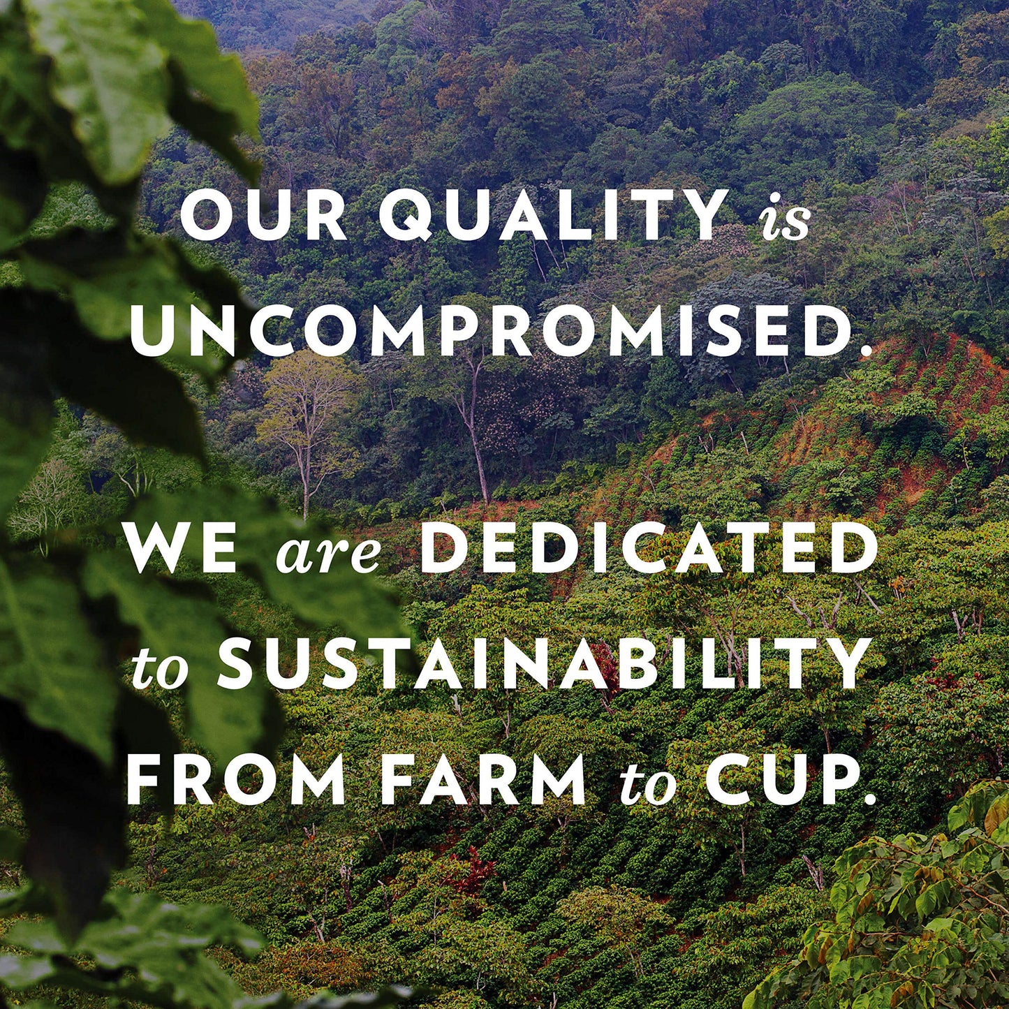 Community Coffee Dark & Bold Intense Blend 72 Ounces, Dark Roast Ground Coffee, 12 Ounce Bag (Pack of 6)